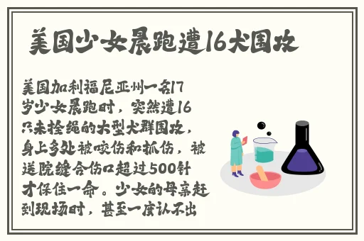 69网站
